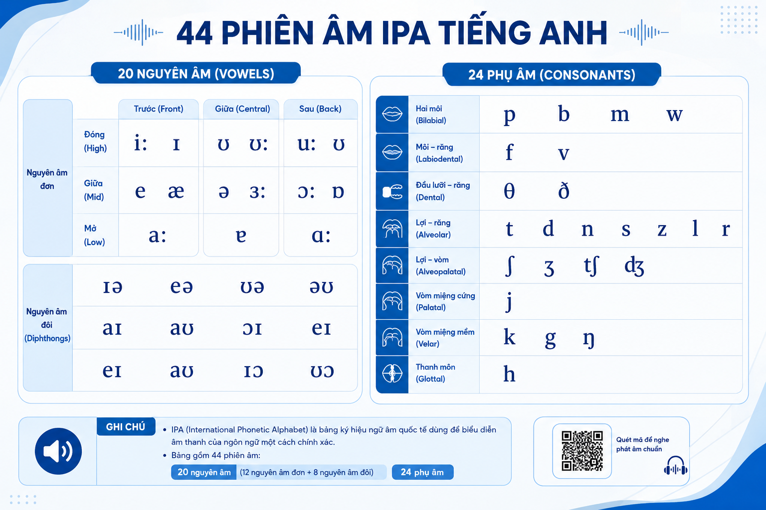 Bảng Phiên Âm IPA Cho Người Mất Gốc: Hướng Dẫn Học Từ A-Z